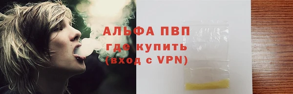 мдпв Богданович