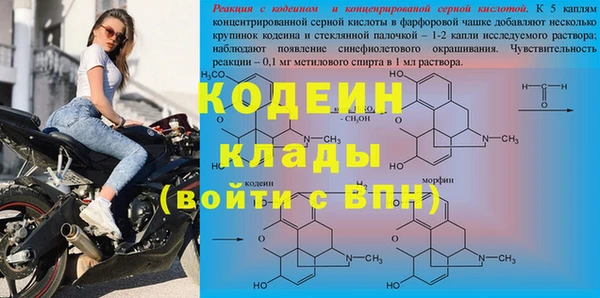 мдпв Богданович