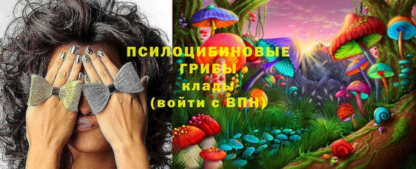 мдпв Богданович